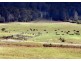 58 Upper BoBo Road, Dorrigo NSW 2453
