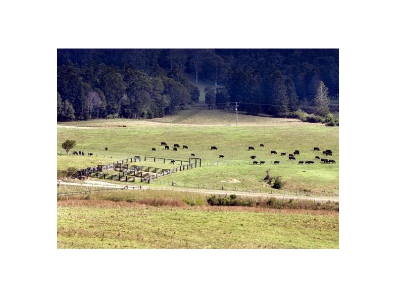 58 Upper BoBo Road, Dorrigo NSW 2453