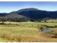 58 Upper BoBo Road, Dorrigo NSW 2453