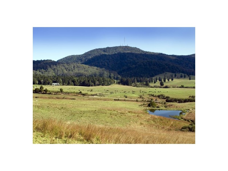 58 Upper BoBo Road, Dorrigo NSW 2453