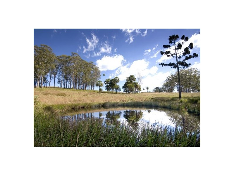 58 Upper BoBo Road, Dorrigo NSW 2453