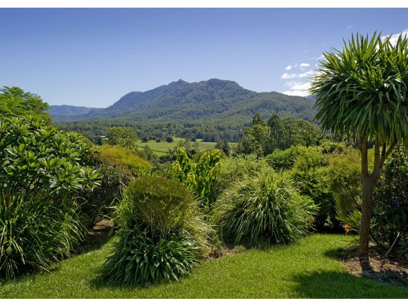 343 Roses Road, Bellingen NSW 2454