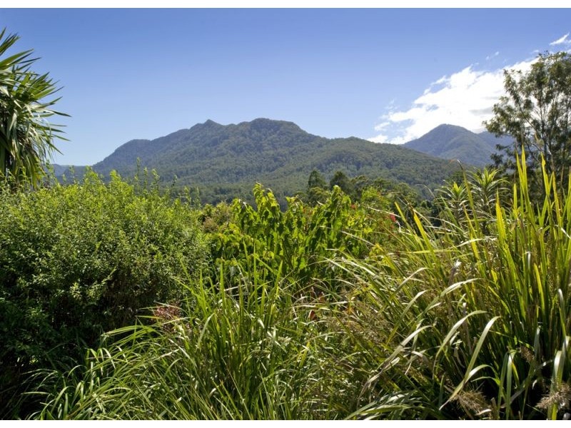 343 Roses Road, Bellingen NSW 2454