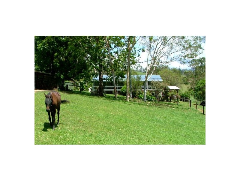 Bellingen NSW 2454