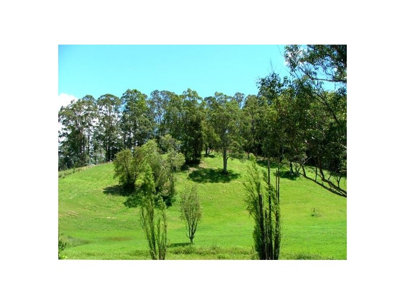 Bellingen NSW 2454