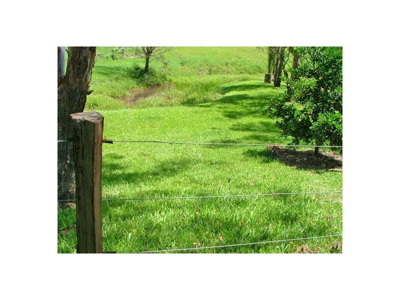 Bellingen NSW 2454