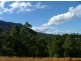 Bellingen NSW 2454