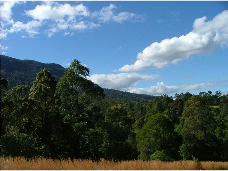 Bellingen NSW 2454