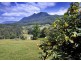 445 Roses Road, Bellingen NSW 2454