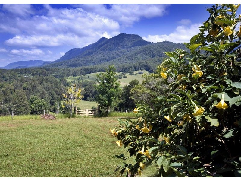 445 Roses Road, Bellingen NSW 2454
