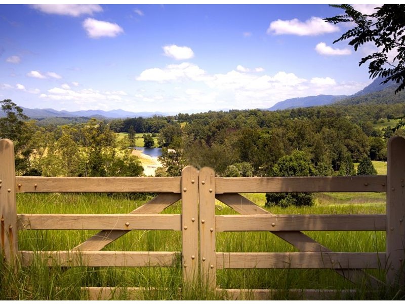 445 Roses Road, Bellingen NSW 2454