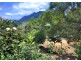 445 Roses Road, Bellingen NSW 2454