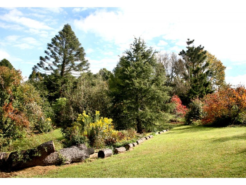118 Mountain Top Road, Dorrigo NSW 2453