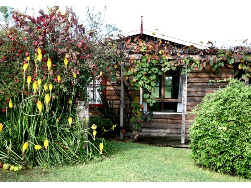 118 Mountain Top Road, Dorrigo NSW 2453