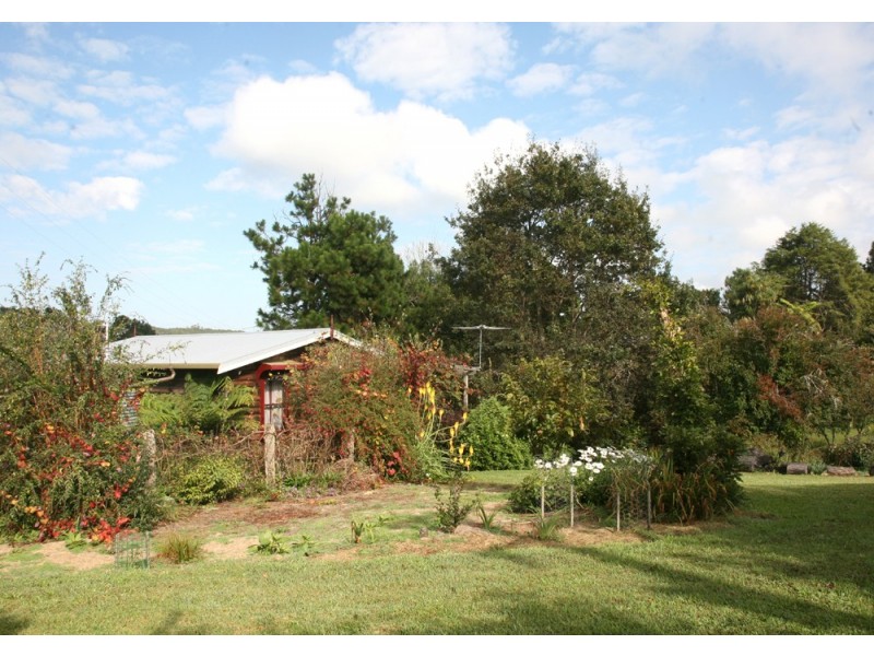 118 Mountain Top Road, Dorrigo NSW 2453
