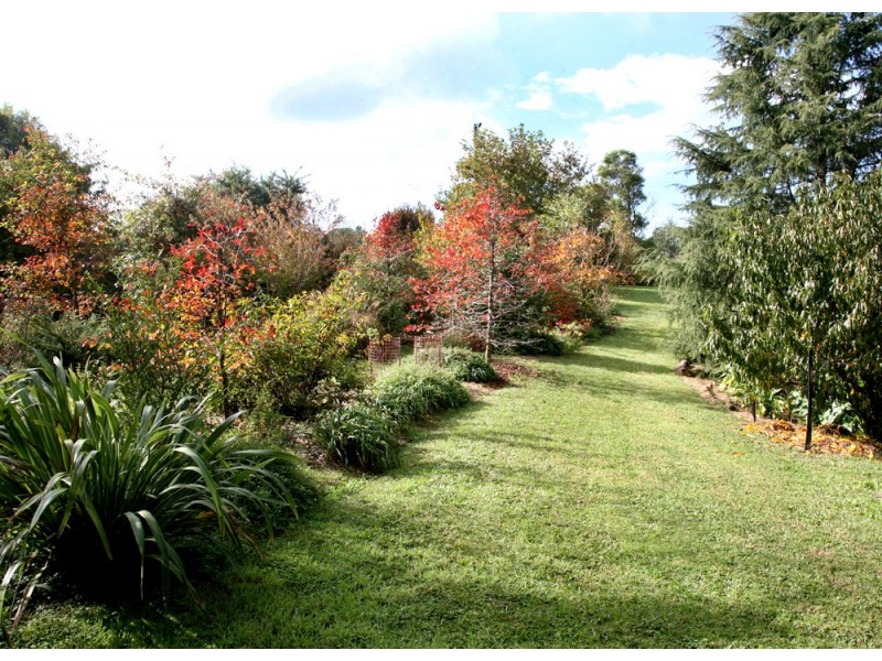 118 Mountain Top Road, Dorrigo NSW 2453