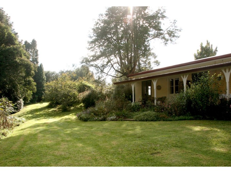 118 Mountain Top Road, Dorrigo NSW 2453