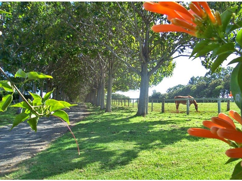 185 Cooks Lane, Dalwood NSW 2477