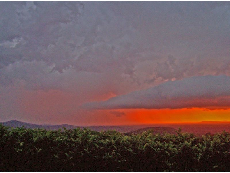 185 Cooks Lane, Dalwood NSW 2477