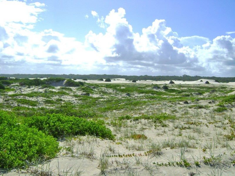 Crescent Head NSW 2440