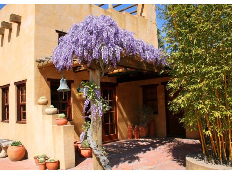 Tenterfield NSW 2372