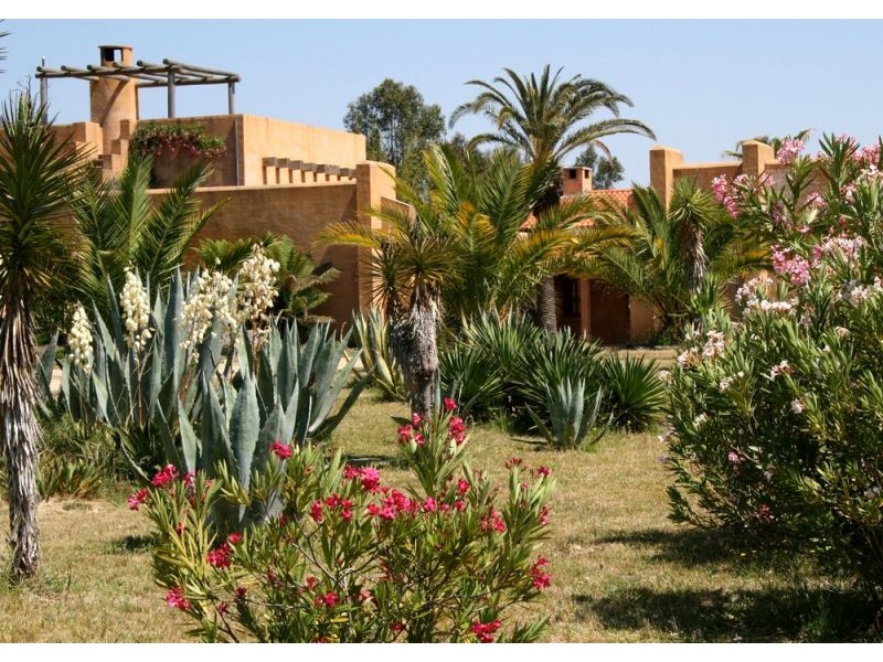 Tenterfield NSW 2372