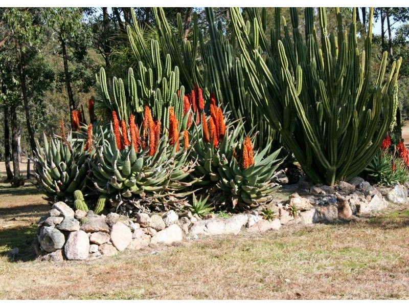 Tenterfield NSW 2372