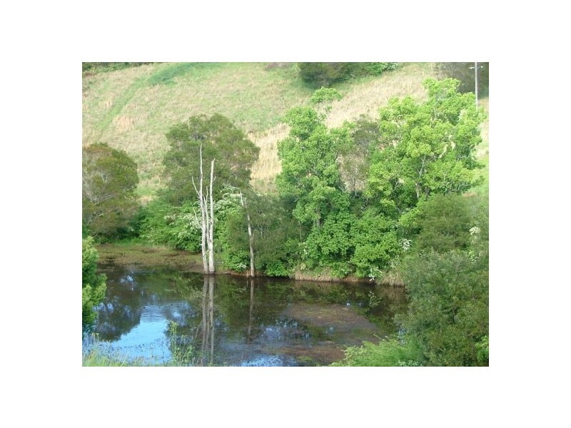 20 Rigney Road, Bellingen NSW 2454
