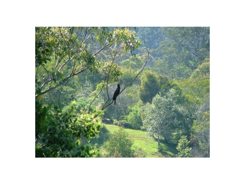 20 Rigney Road, Bellingen NSW 2454