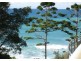 Coffs Harbour NSW 2450