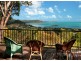 Airlie Beach QLD 4802