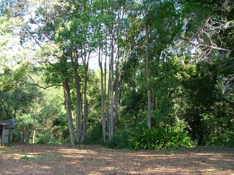 17 McNally Street, Bellingen NSW 2454