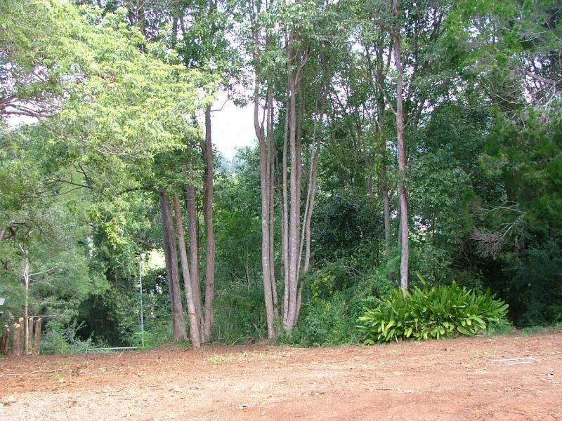 17 McNally Street, Bellingen NSW 2454
