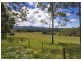 Bellingen NSW 2454