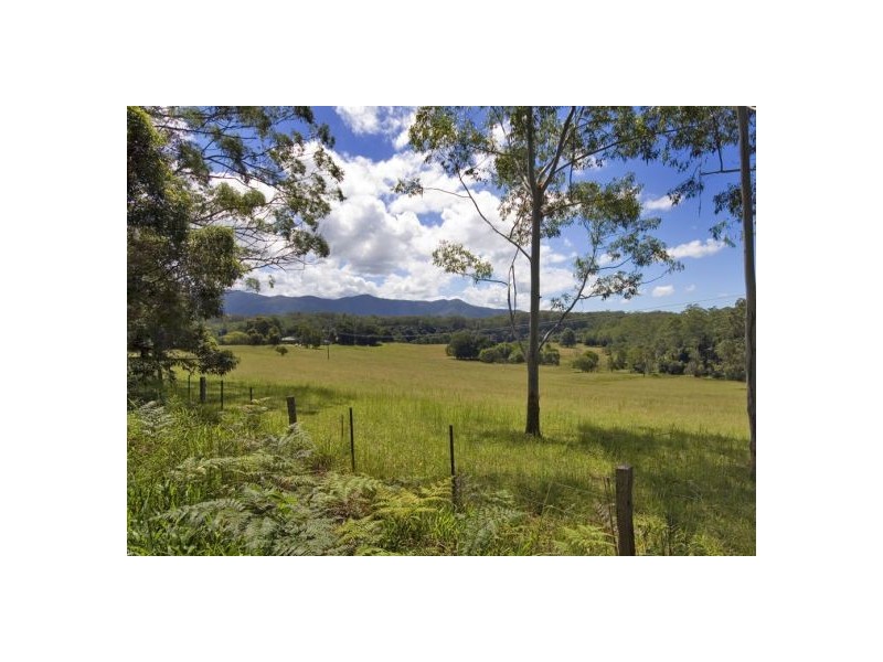 Bellingen NSW 2454