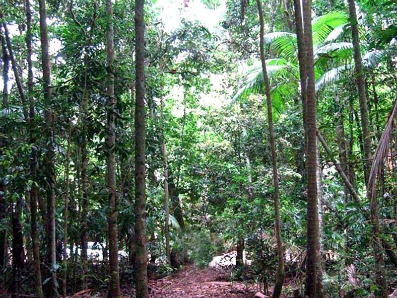 18 Matthew Street, Scotts Head NSW 2447