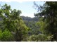 The Channon NSW 2480