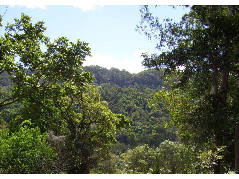 The Channon NSW 2480