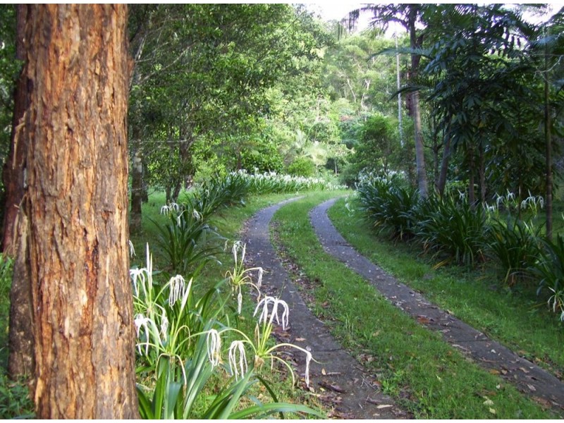 The Channon NSW 2480