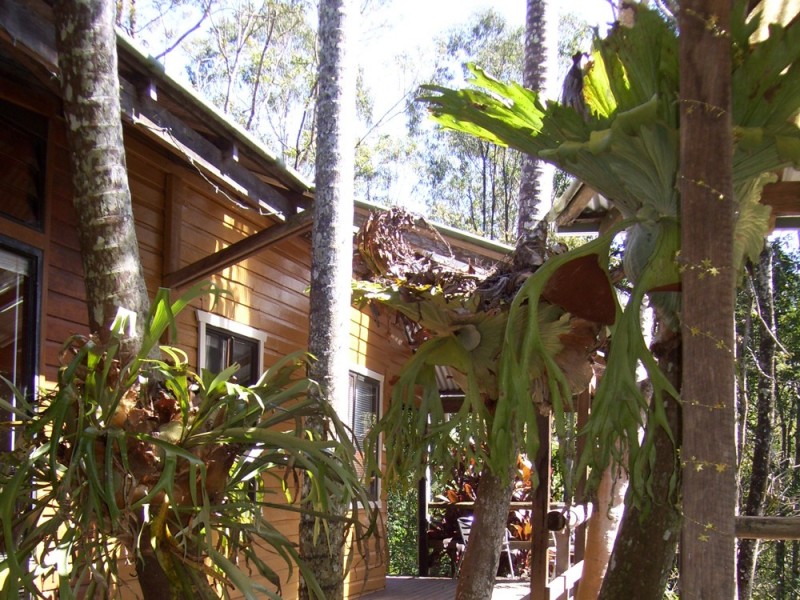 The Channon NSW 2480