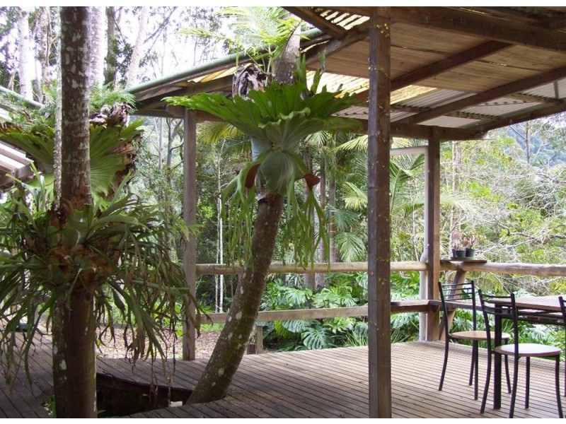 The Channon NSW 2480