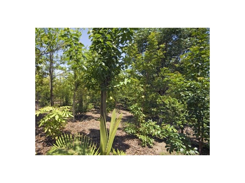 66 O’Dells Road Warrell Crk, Macksville NSW 2447