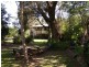 Bellingen NSW 2454