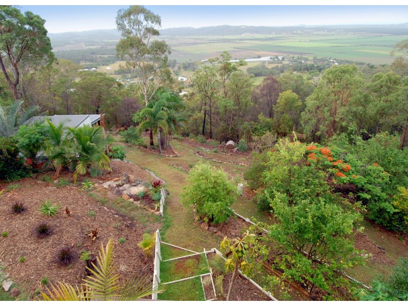 175 Ocean Vista Drive, Maroochy River QLD 4561