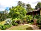153 Darkwood Road, Thora, Bellingen NSW 2454