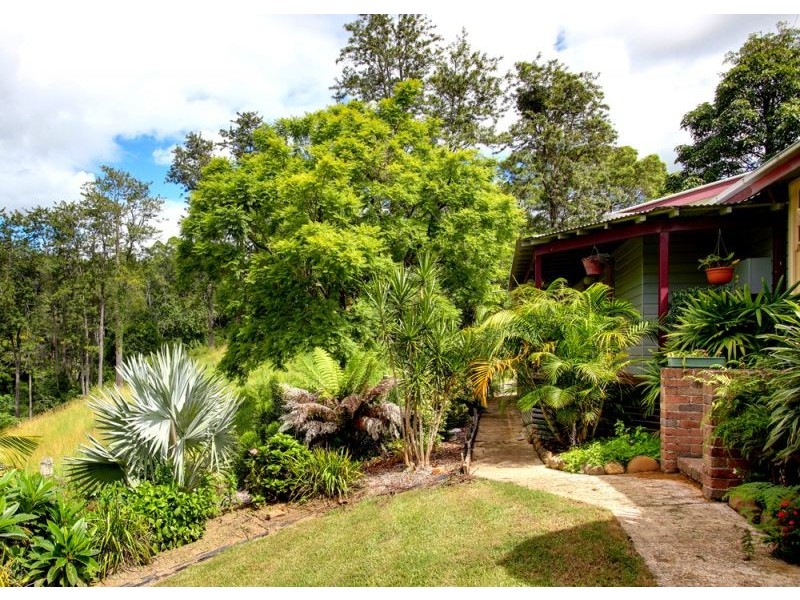 153 Darkwood Road, Thora, Bellingen NSW 2454