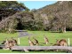 5 Burrawong Drive, South West Rocks NSW 2431