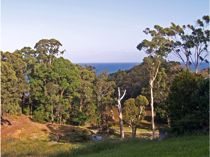 Coffs Harbour NSW 2450