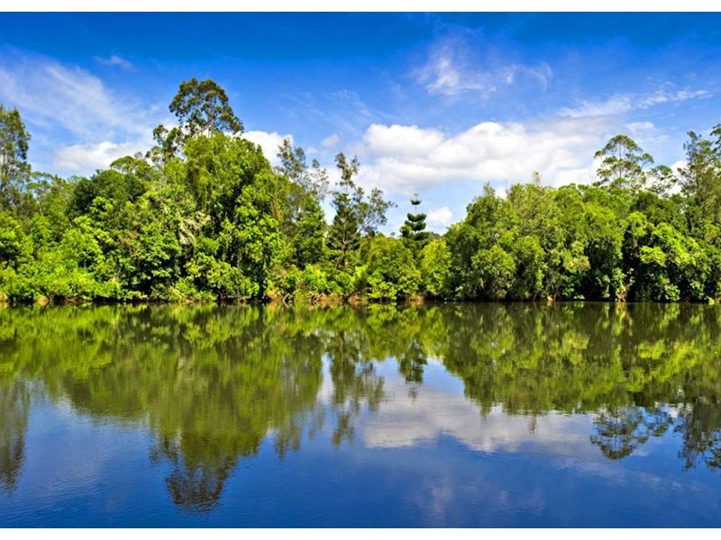 869 South Arm Road, Bellingen NSW 2454
