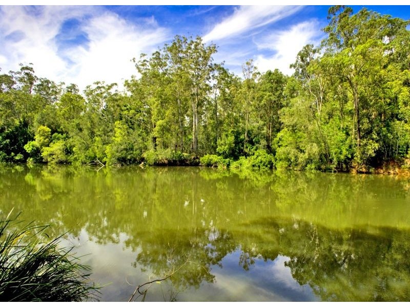 869 South Arm Road, Bellingen NSW 2454